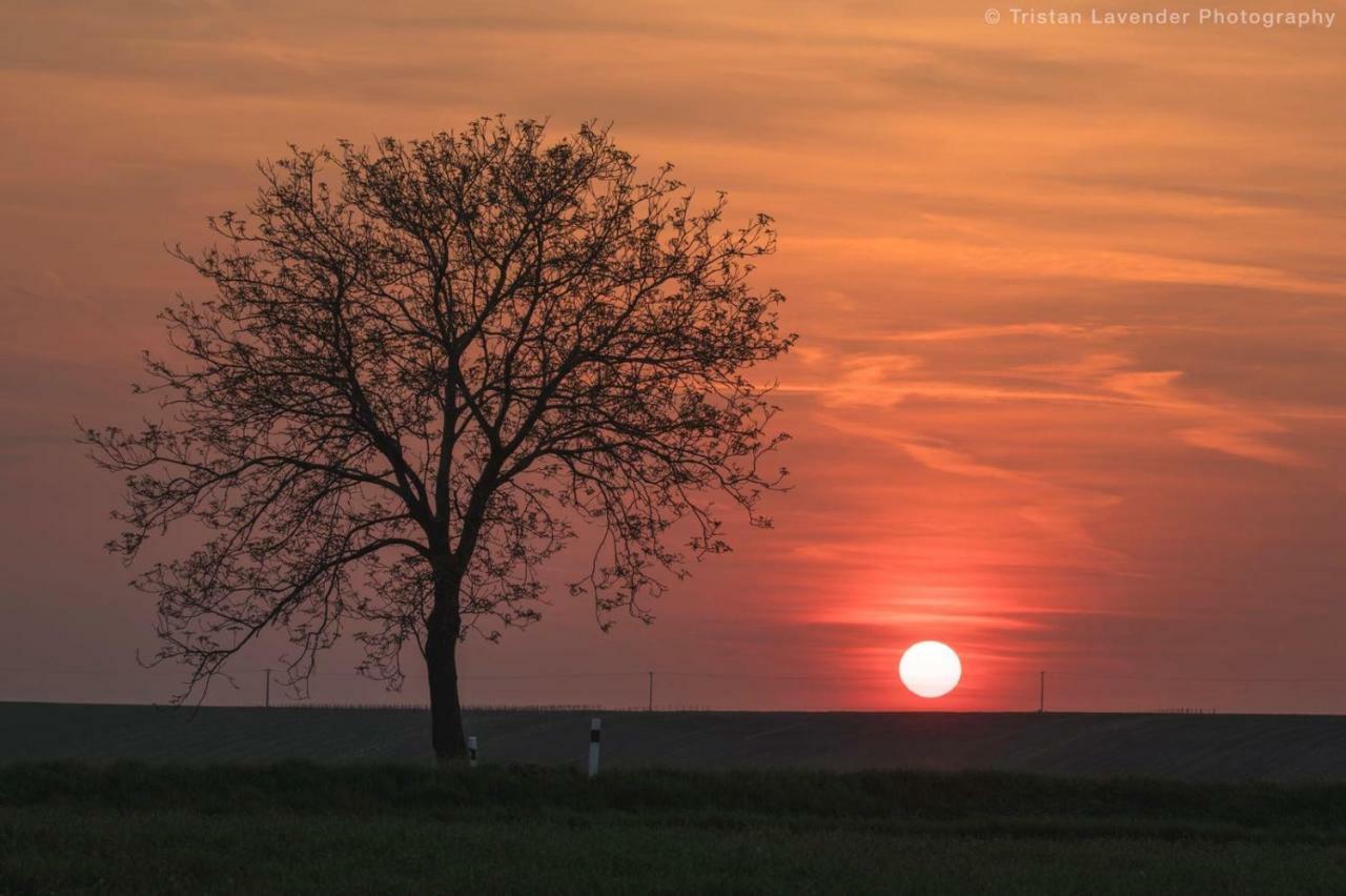 Moravske Toskansko Stavesice Екстер'єр фото
